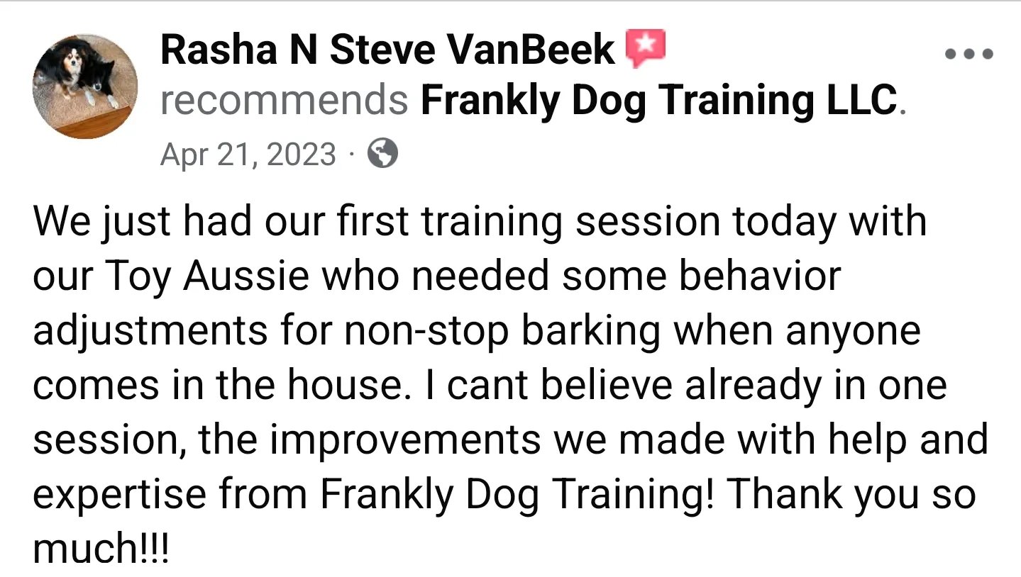 Facebook recommendation from Rasha N Steve VanBeek praising Frankly Dog Training LLC for improving their Toy Aussie's nonstop barking in one session.