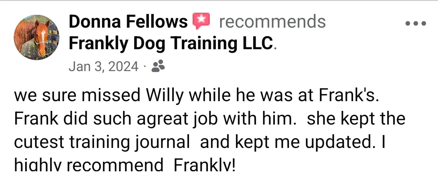 Facebook recommendation from Donna Fellows praising Frankly Dog Training LLC for great work with her dog Willy, mentioning a training journal and updates.