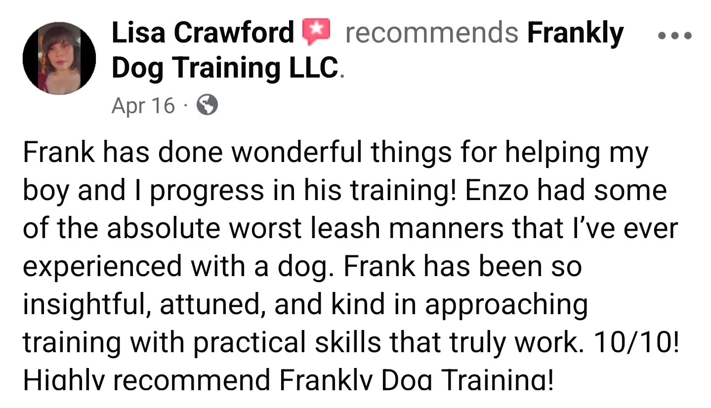 Facebook recommendation by Lisa Crawford for Frankly Dog Training LLC praising Frank for improving her dog's leash manners and effective training skills.