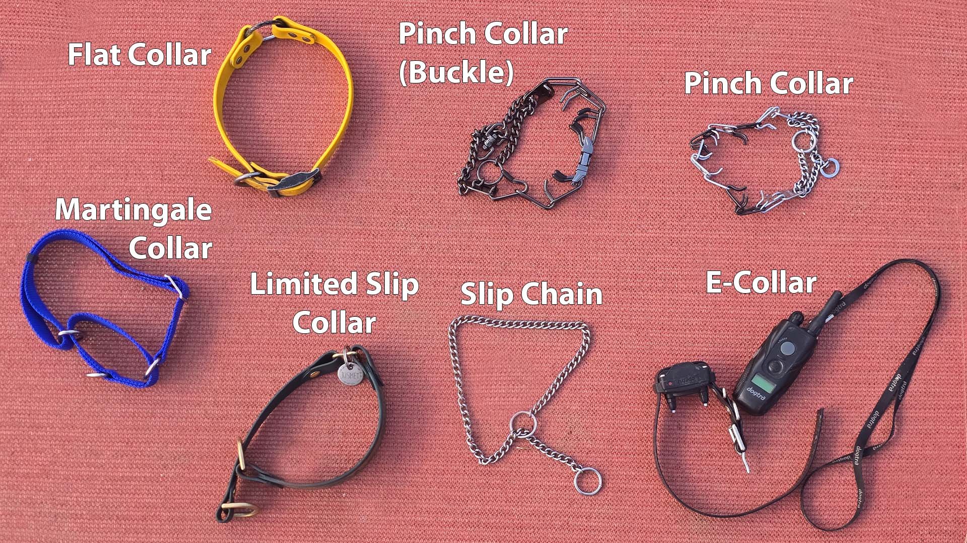 Dog collar types including a flat collar, a martingale collar, a limited slip collar, a pinch (or prong) collar with a buckle, a normal pinch (or prong) collar, a slip chain, and an e-collar.