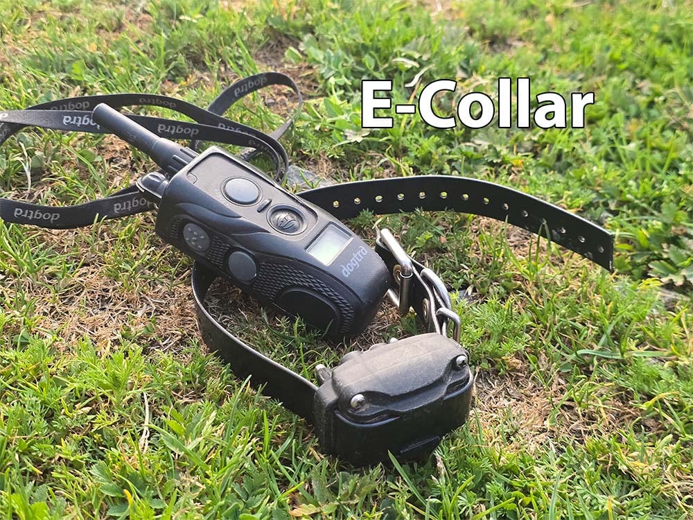 A dogtra e-collar for dogs, featuring both the remote and the collar itself.