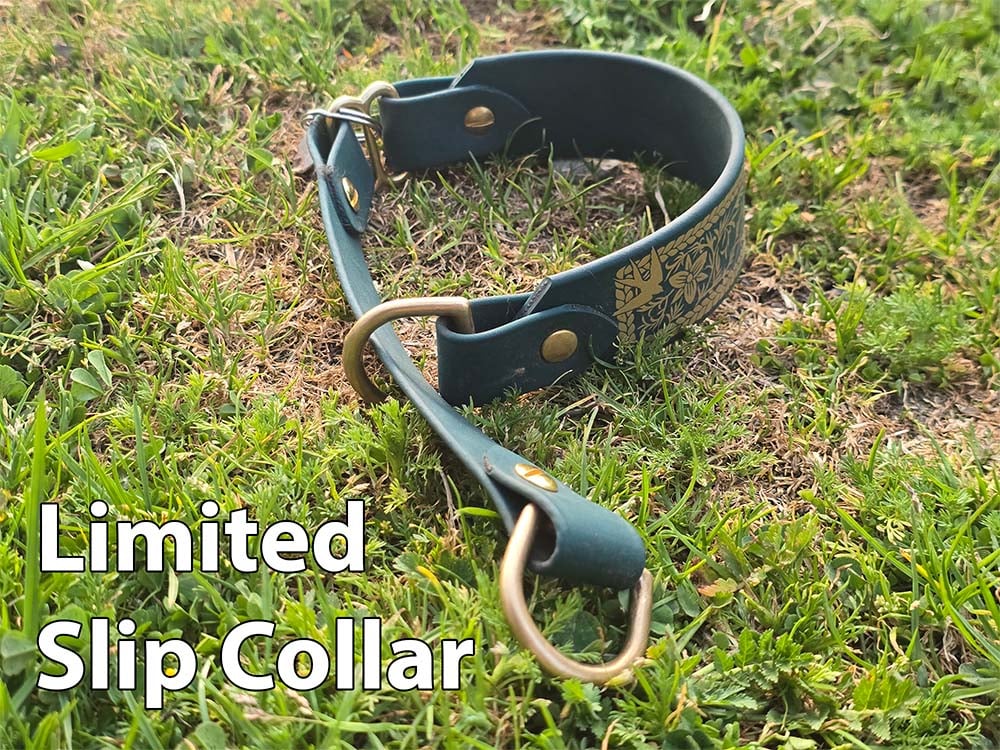 A green limited-slip dog collar.