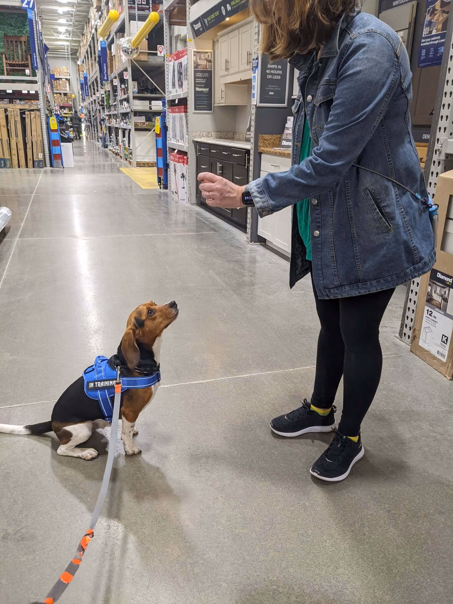 Frankly Dog Training Client practicing in the store.
